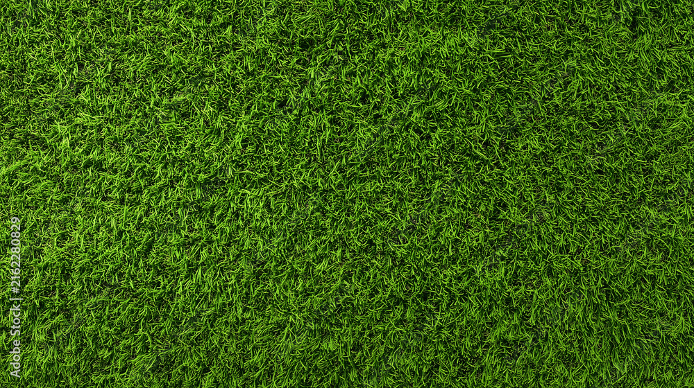 Fototapeta premium Seamless Green Grass Texture Background for Landscape Design and Garden Projects
