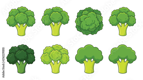 Broccoli variations illustrated in a vibrant green vector style