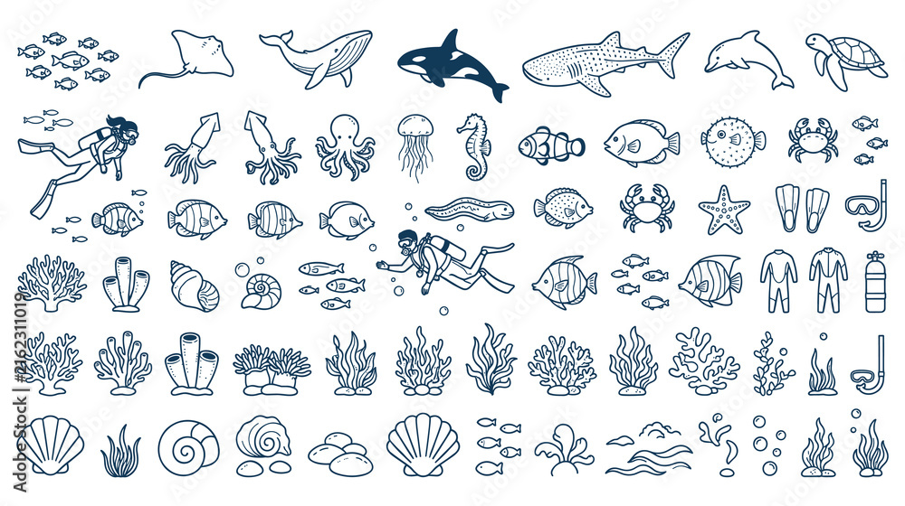 Fototapeta premium Underwater ocean creatures and divers for marine life exploration.