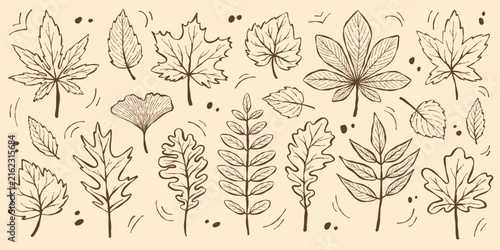 Whimsical outline ink autumn leaves collection isolated on vintage background. Perfect line clipart for floral patterns, thanksgiving, scrapbooking design. Seasonal fall hand drawn vector illustration