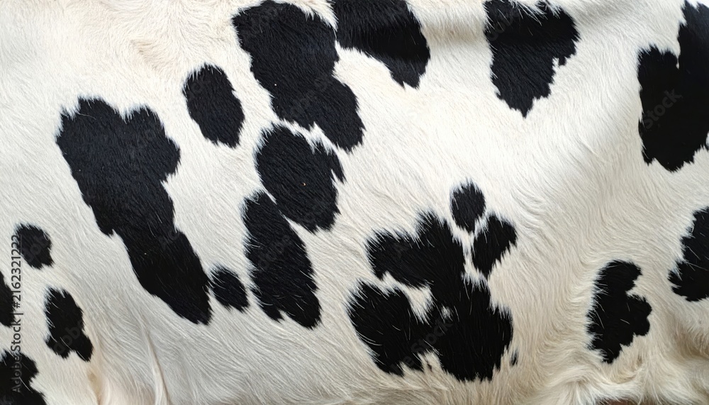 Naklejka premium Leopard Fur and Zebra Skin Texture Close Up with Wild Animal Stripes and Detailed Wildlife Pattern for Safari Nature Background