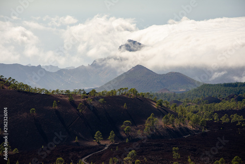 Paysage volcanique à Ténérife
