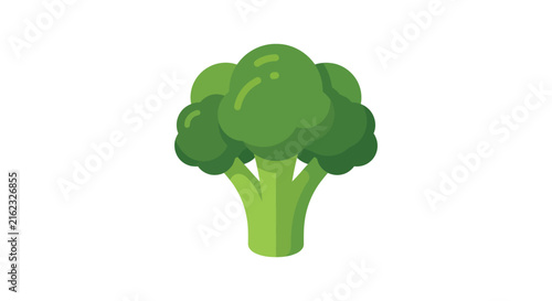 A vibrant green broccoli floret is presented as a flat vector illustration