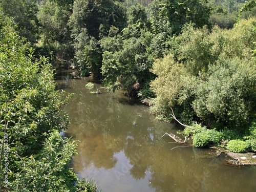 River flowing through green forest with reflections. Portugal - Norte