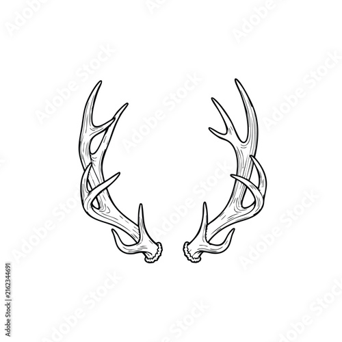 Detailed black and white sketch of a pair of deer antlers, showcasing their natural curves and points, isolated on a white background.