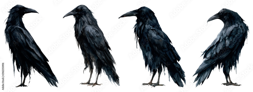 Naklejka premium Dark ravens in various poses, an artistic watercolor illustration depicting spooky halloween creatures and gothic elements, perfect for horror themes and autumn holidays