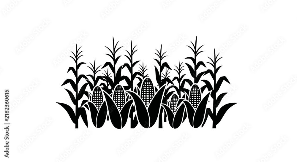 Fototapeta premium Cornfield Silhouette Vector Isolated