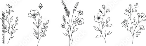 Vintage Wheat Ears Vector Illustration Isolated on White with Elegant Botanical Floral Design Elements and Black Silhouette Nature Decoration.