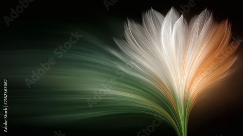 Fondo flores hechos con fractales