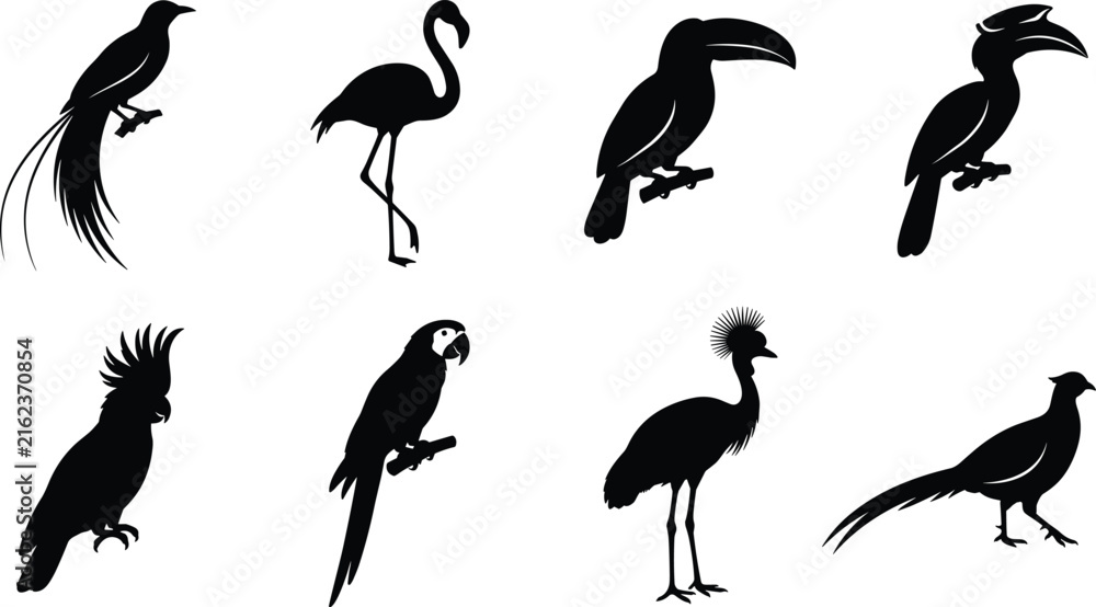 Naklejka premium Black Silhouette Icons of Exotic Birds and Wildlife Species
