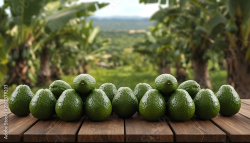 Fresh green avocados arranged in a row on a rustic wooden table, with an avocado orchard and lush tropical landscape softly blurred in the background.