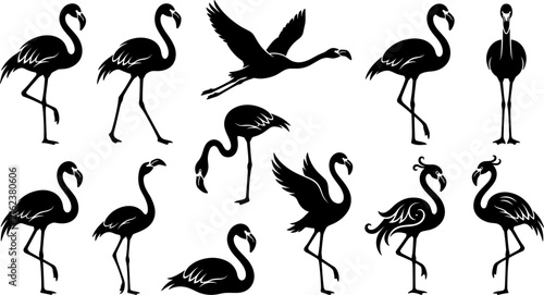 Foto Large Vector Collection of Solid Black Flamingo Silhouettes Comparing Standing O