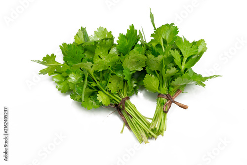Foto A close-up shot features a fresh bunch of vibrant green cilantro, bundled together and tied with twine