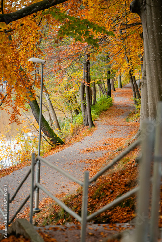 Scenic autumn landscape in Skåne, Sweden, surrounded by colorful trees and vibrant seasonal foliage. Warm golden and orange tones create a peaceful natural atmosphere