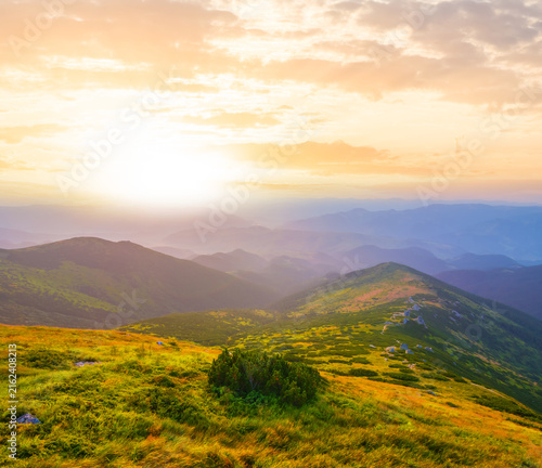 Cuadro en lienzo summer green mountain valley at the sunrise, early morning mountain travel scene