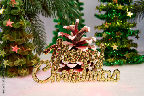 A pine cone with letters among green fir trees