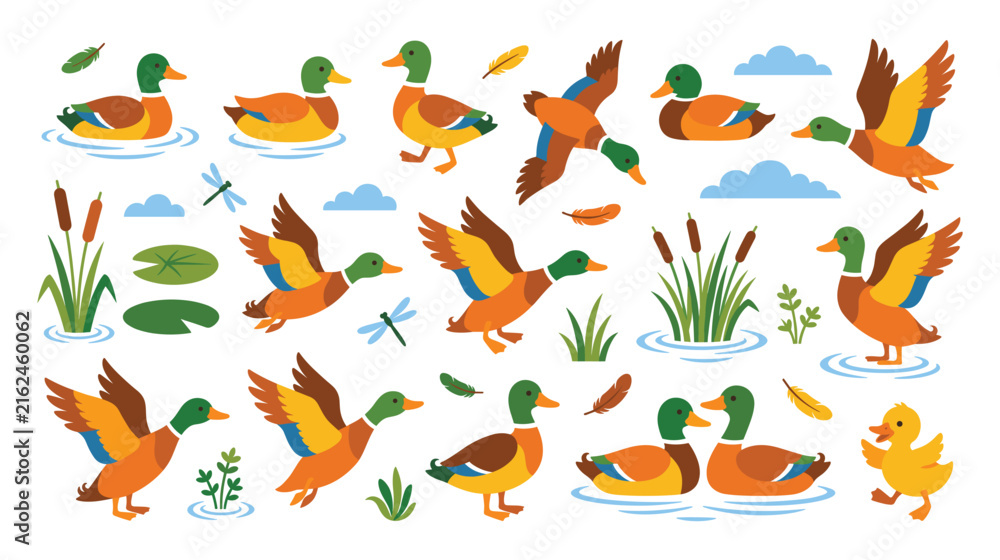 Obraz premium Colorful mallard duck set with birds and reeds for pond landscape.
