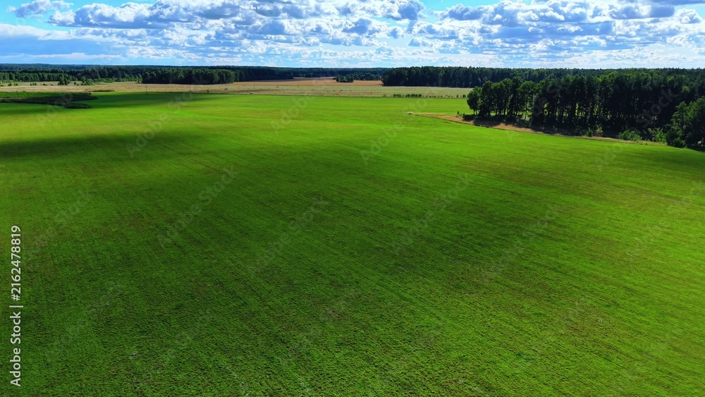 Fototapeta premium Vibrant green grass field under a clear sky with scattered clouds and distant trees