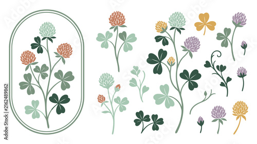 Wild clover flower collection with floral elements for botanical art.