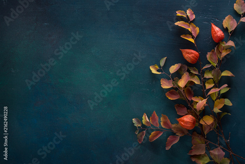 Branches with small colorful autumn leaves (Spiraea Vanhouttei) and  fruit of  Physalis  on dark green-blue painted wooden background  with empty space for text or image. Flat lay.