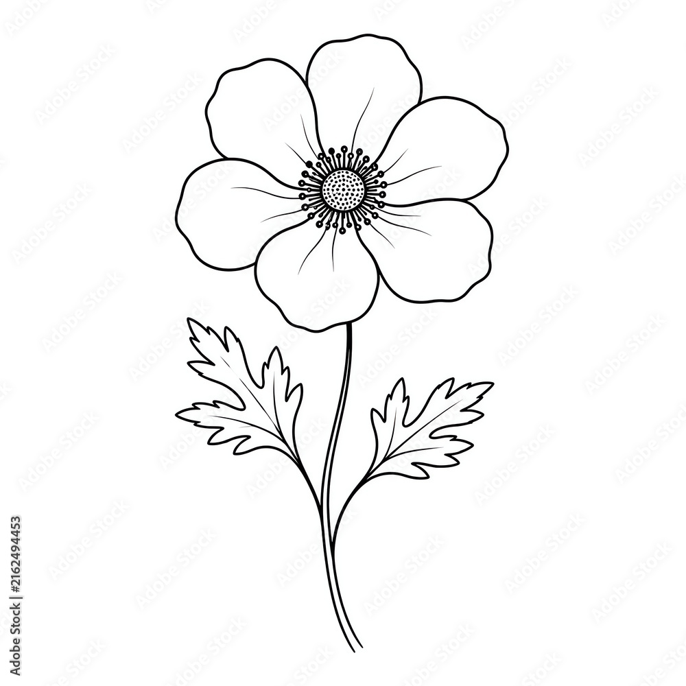Poppy flower outline sketch isolated on white background botanical line art for embroidery 