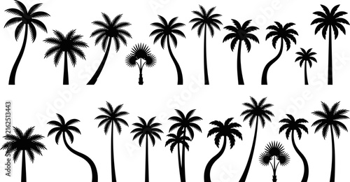 Black and White Palm Tree Silhouettes Collection