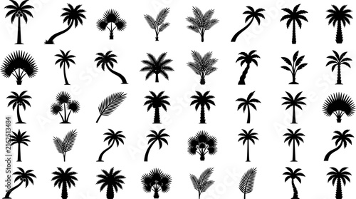 Black Palm Tree Silhouette Collection