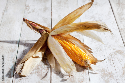 Corn cob