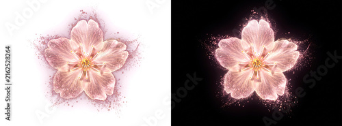 Glowing cherry blossom flower illustration on black and white background