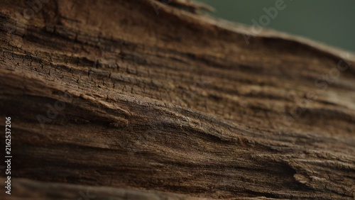 Warm daylight across layered driftwood grain texture