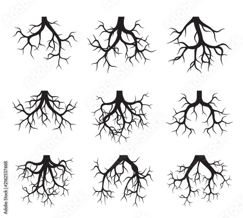 Set black Roots. Plants and trees. Vector Illustration.