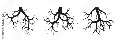 Set black Roots. Vector Illustration.