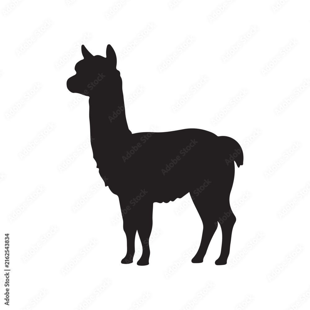 Fototapeta premium Alpaca silhouette icon symbol. Vector illustration
