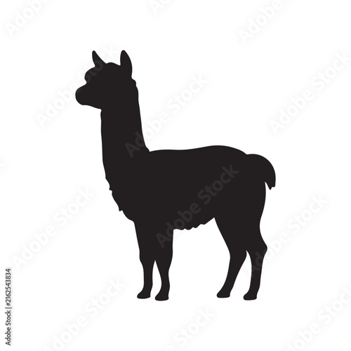 Alpaca silhouette icon symbol. Vector illustration
