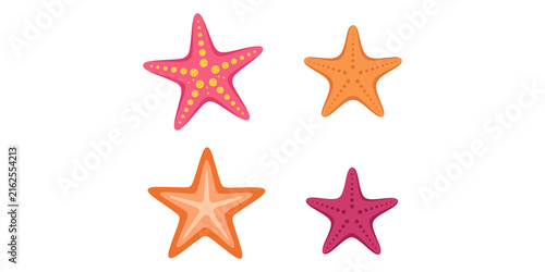 Fotografía Starfish collection with pink orange and purple sea stars featuring unique patterns for tropical ocean design themes decor