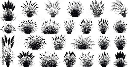 Ornamental Grass Silhouette Collection with Decorative Garden Plants and Botanical Foliage Elements