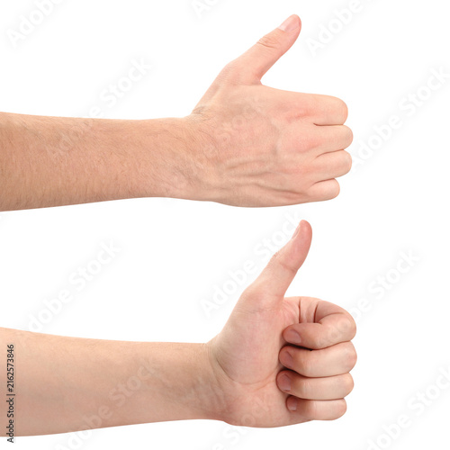 Quadro su tela Set of male hands showing thumbs up approval gestures, isolated on transparent c