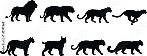 Photography Black Silhouette Vector Set of Wild Big Cats Including Lion, Tiger, Leopard, and
