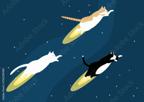 猫ロケット夜空飛ぶ　白猫と茶白猫と白黒猫