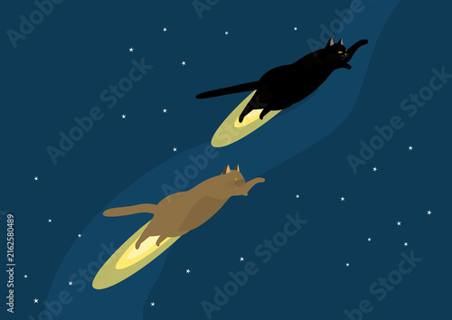 猫ロケット夜空飛ぶ　黒猫と茶猫