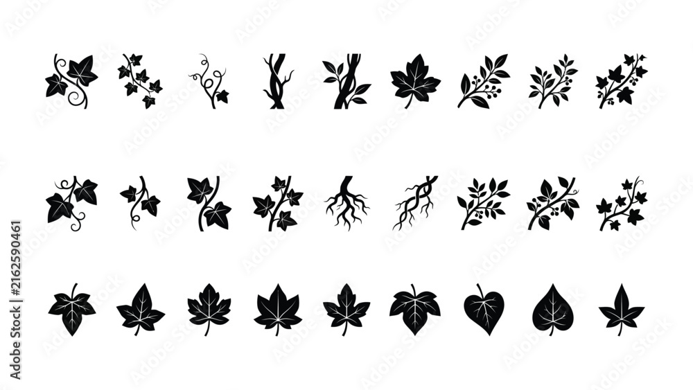 Fototapeta premium Ivy vine leaves branches and climbing plant silhouettes collection for nature design elements