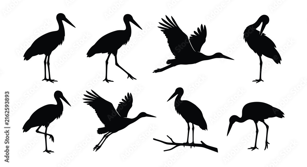 Naklejka premium Collection of stork silhouettes depicting various poses against a white background avian