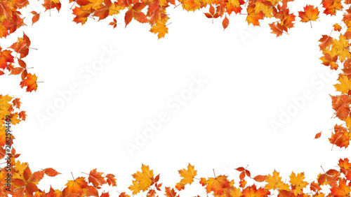 colorful autumn leaves border frame isolated on transparent background,png leaf thanksgiving and Halloween celebration video stream overlay social media design element