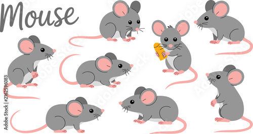 Set of cute vector gray mouse icons in various poses eating cheese isolated on white background illustration