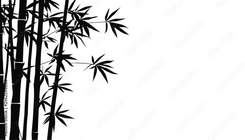 Fototapeta premium Bamboo stalks with detailed leaves form a decorative left border against a plain bright white background space.