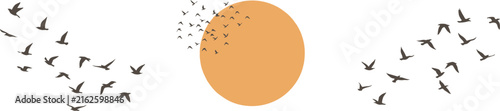 Flock of Flying Birds Silhouette with Sun Circle on White Background Vector Set