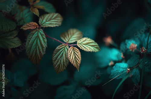 Moody dark green leaves botanical background

