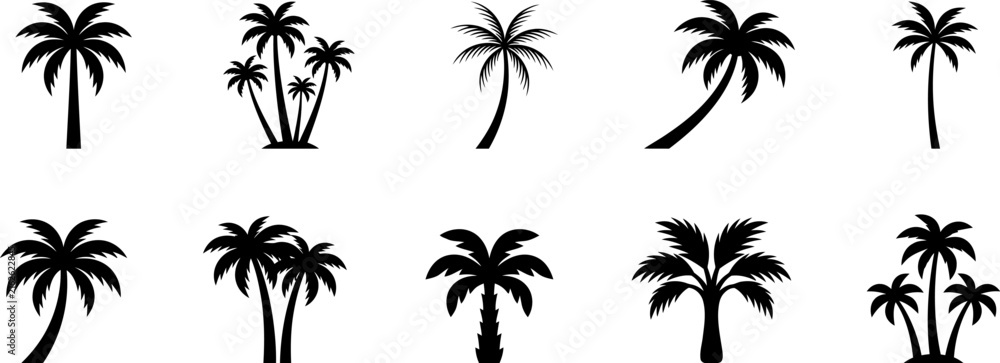 Fototapeta premium A diverse collection of black palm tree silhouettes arranged in different compositions ideal for tropical designs and backgrounds