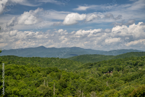 Plakat mountain garden