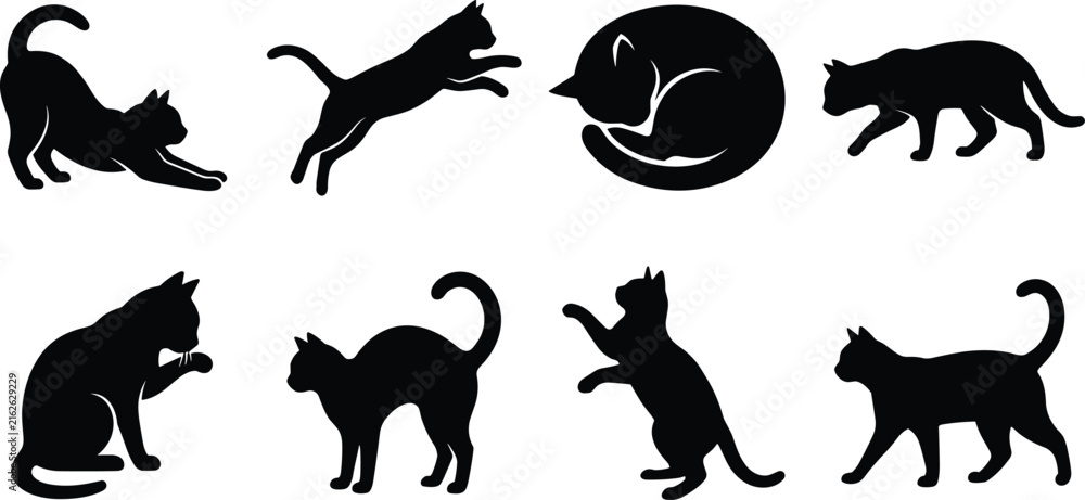 Obraz premium Vector set of black cat silhouettes depicting various feline poses and actions isolated on a white background